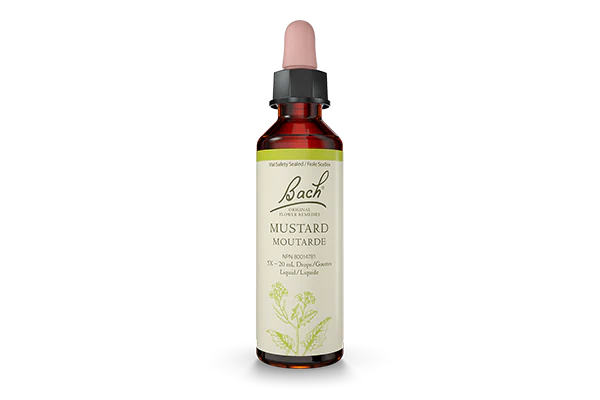 Bach Original Flower Remedies - Mustard, 20ml