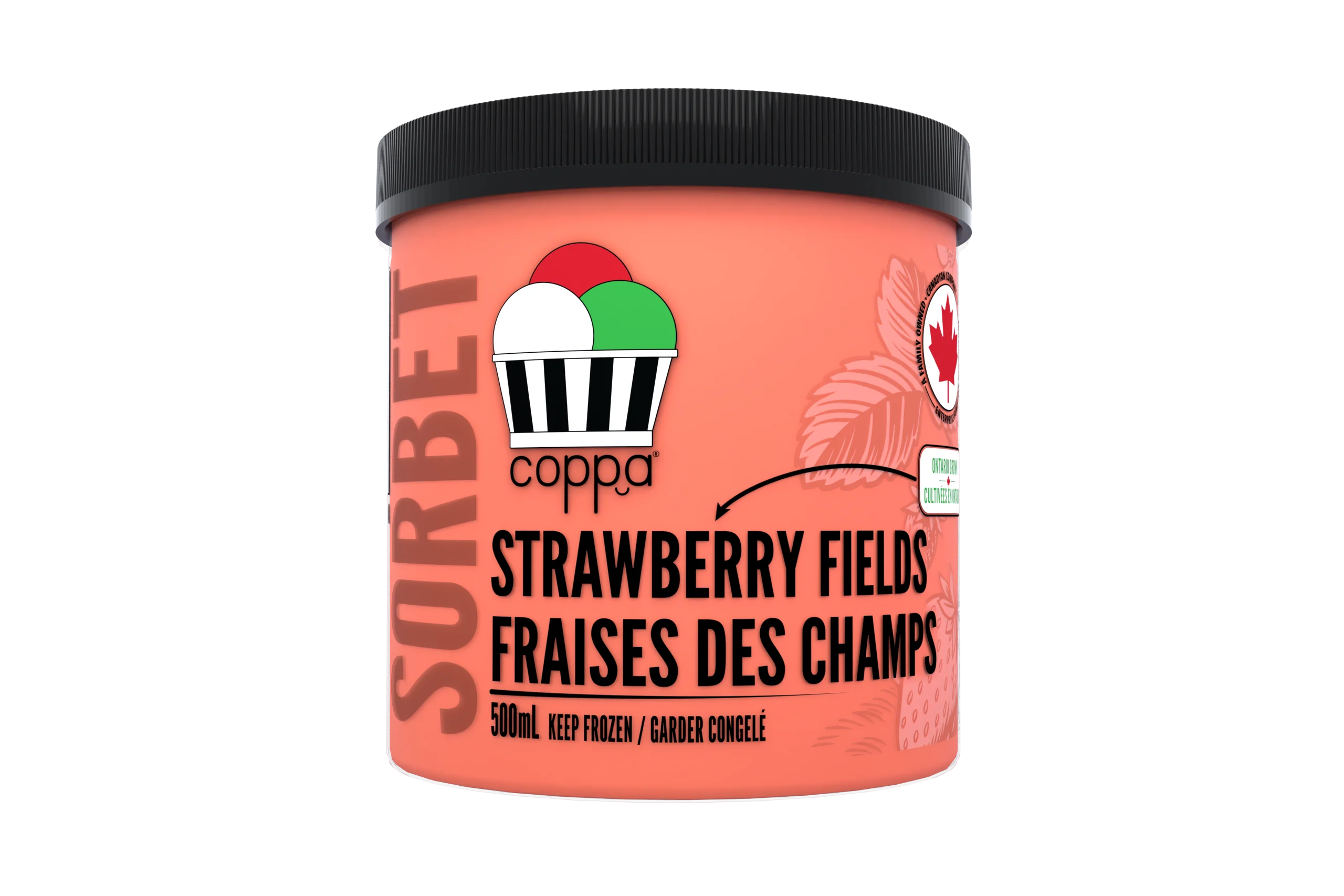 Coppa Gelato - Sorbet - Strawberry Fields, 500 mL