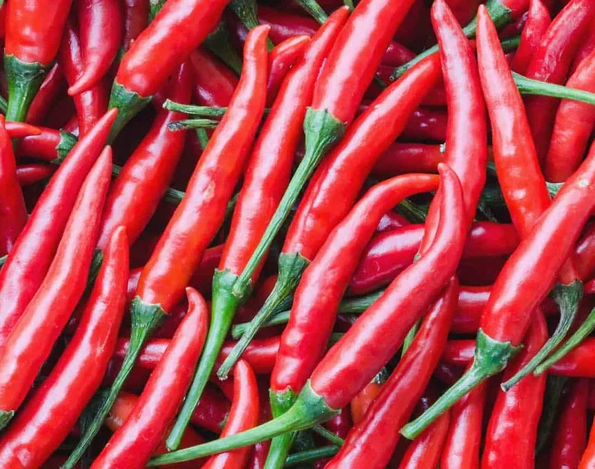 Freeman Organic Herbs - Pepper - Cayenne, 4.5"