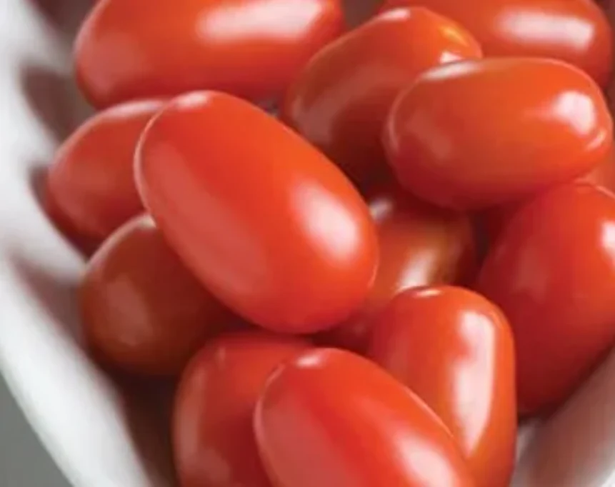 Freeman Organic Herbs - Tomato - Grape, 4.5"