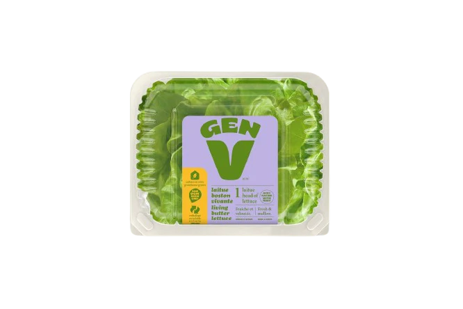 Gen V - Lettuce - Living Butter, Each