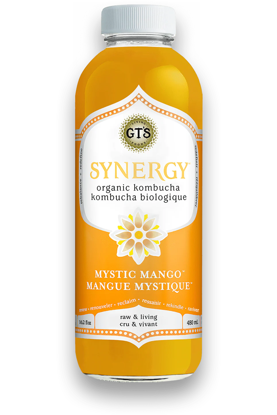 GT's Organic - Mystic Mango Kombucha Drink, 480 mL