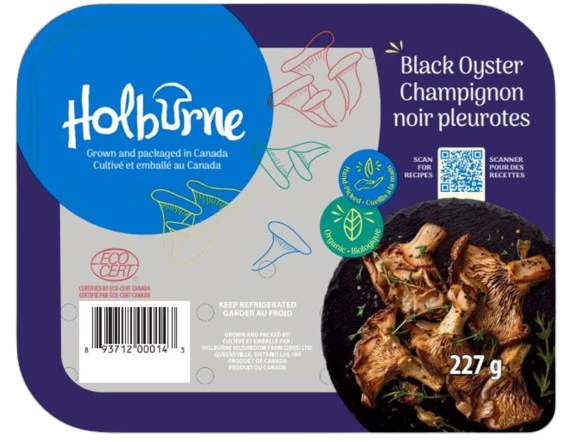 Holburne - Mushrooms - Black Oyster, 227 g