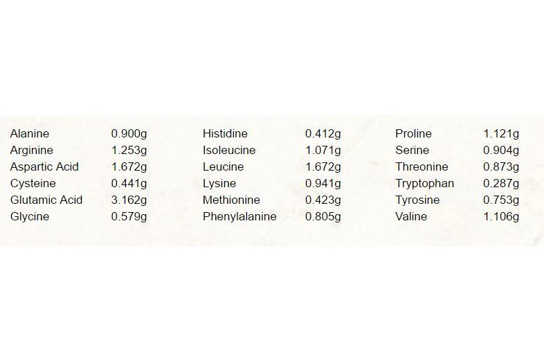 Iron Vegan - Sprouted Protein Natural , 1kg - Image 3