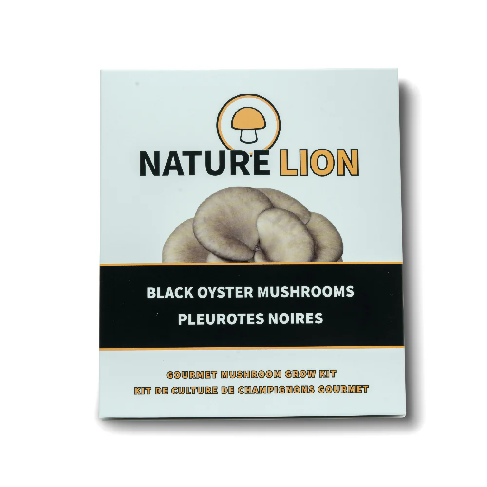 Nature Lion - Black Oyster Mushroom Grow Kit - Image 2