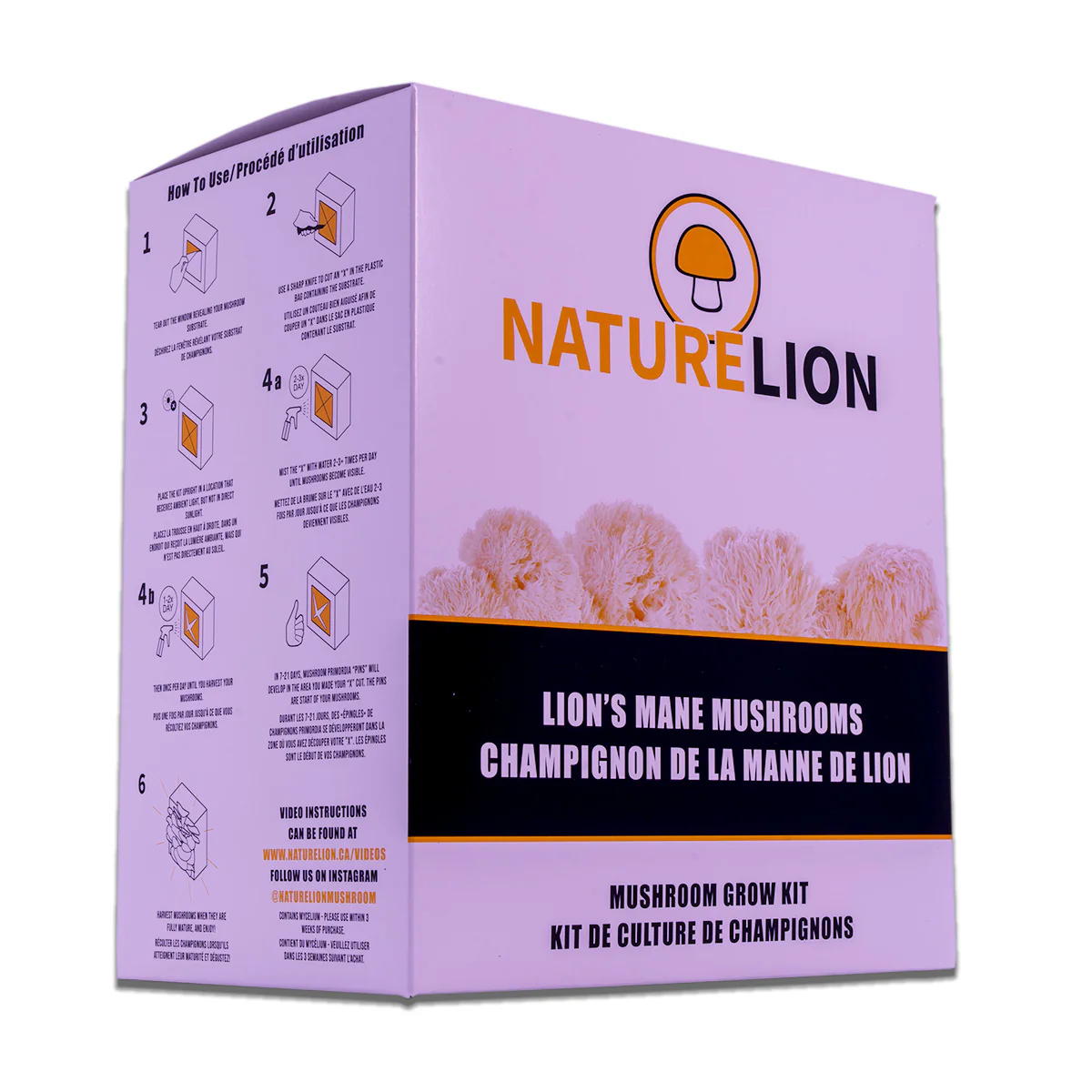 Nature Lion - Lions Mane Mushroom Grow Kit - Image 3