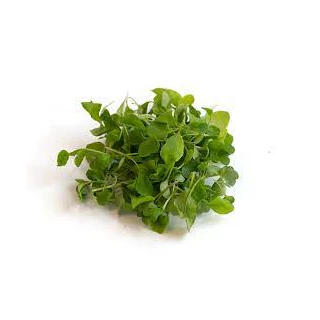 Paradise Fields - Organic Arugula Microgreens, 50 g
