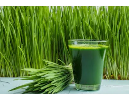 Paradise Fields - Organic Wheatgrass, 250g