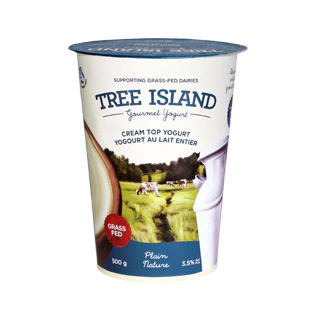 Tree Island - Gourmet Plain Cream Top Yogurt, 500 g