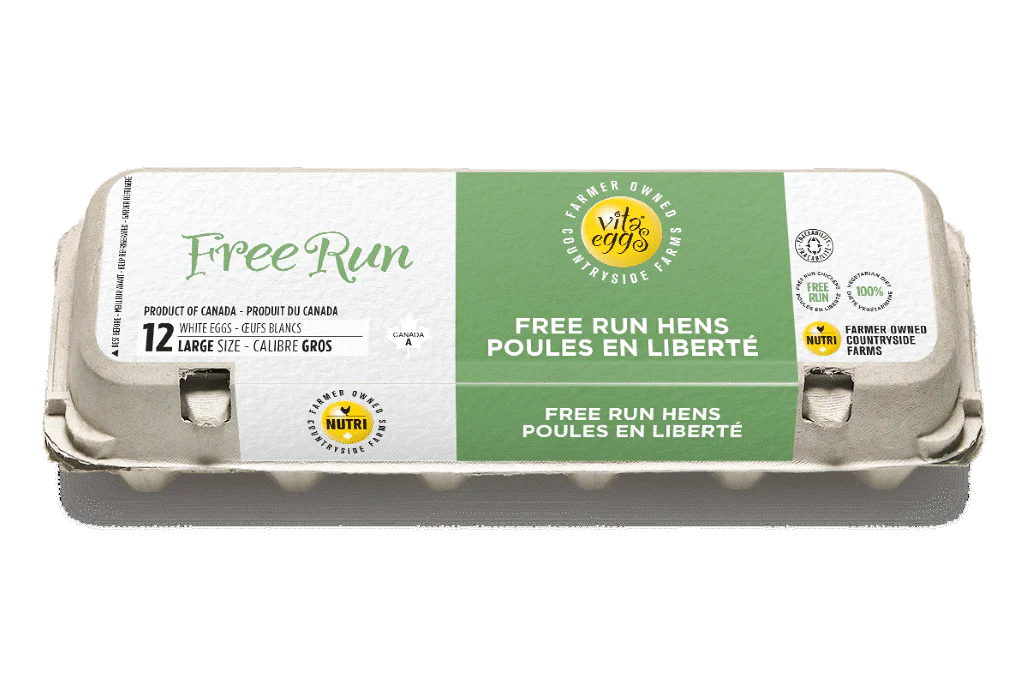 Vita Eggs - White Free Run Eggs, 12 Large