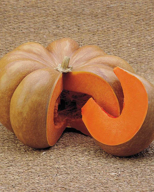 West Coast Seeds - Musquee d’Hiver de Provence, 2 g