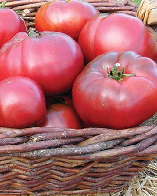 West Coast Seeds - Organic Black Krim