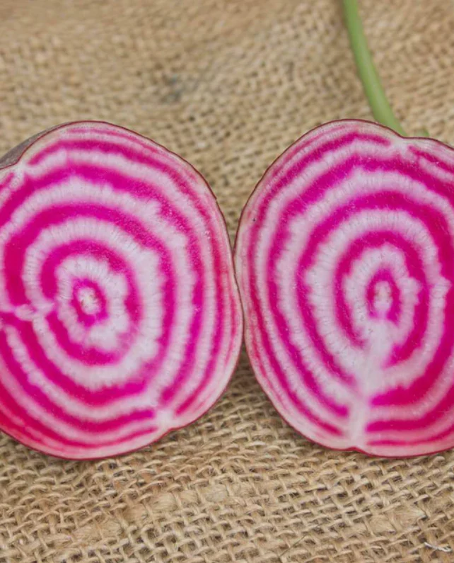 West Coast Seeds - Organic Chioggia, 100 Seeds
