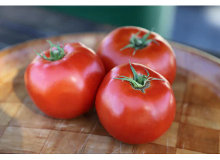 West Coast Seeds - Organic Galahad F1, 10 Seeds