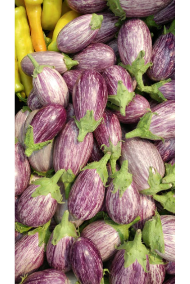 West Coast Seeds - Organic Piccolo F1, 10 Seeds