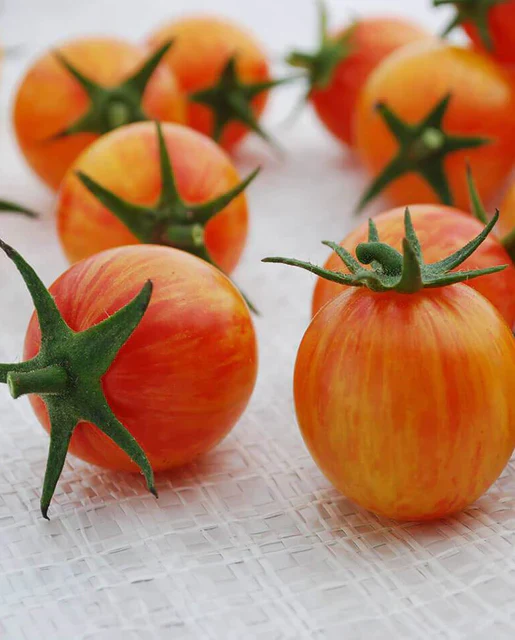 West Coast Seeds - Organic Sunrise Bumble Bee
